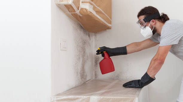 Professional Bathroom Mold Removal technician working in Oakhurst, NJ